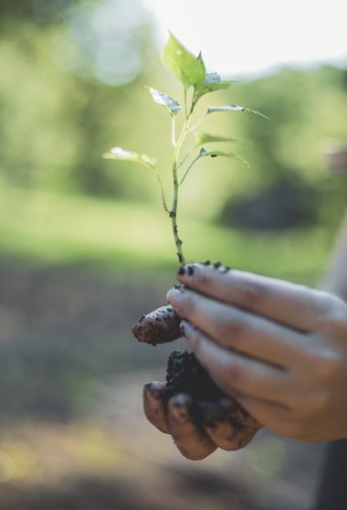 Environnement naturel avec l'eau, l'air et la terre